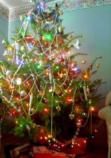 alexa2009a.jpg
