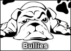 shows-bullies