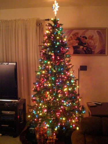 Paul's Tree