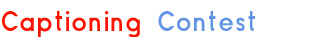 visual captions